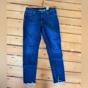 Banana Republic Women’s 29P Dark Blue Skinny Jeans